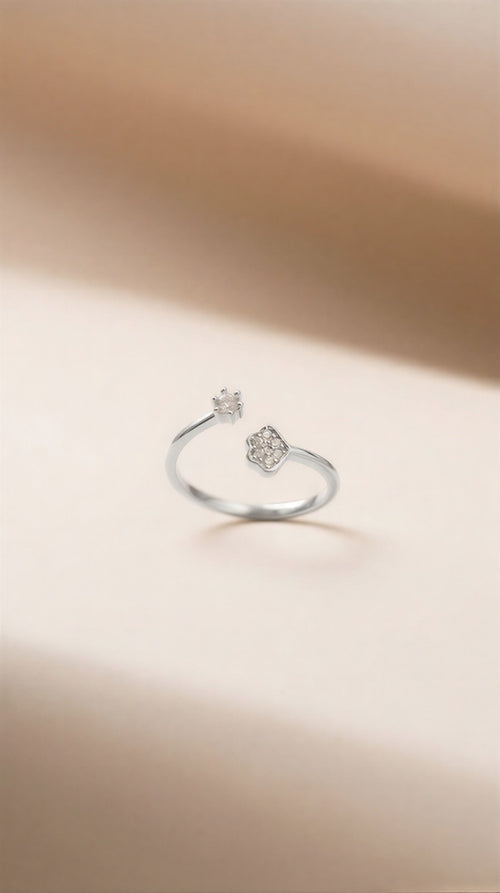 Metamorphic Luxury: Auric-Bordered Clover Anthology & Silver-Polish Celestial Accents