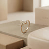Bimetallic Prestige: Gold-Framed Enamel Suites & Silver-Polish Astral Bands